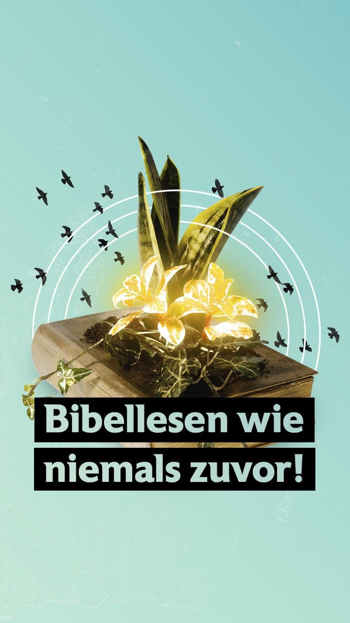 bibel lesen wie niemals zuvor