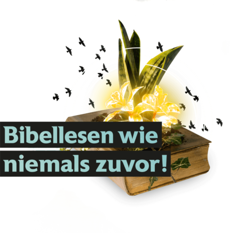 BLWNZ-Logo-Website
