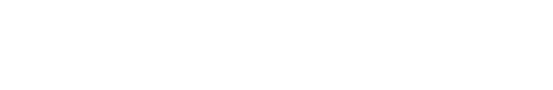schriftzug