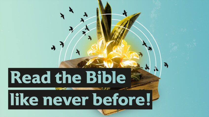 Read the Bible like never before!